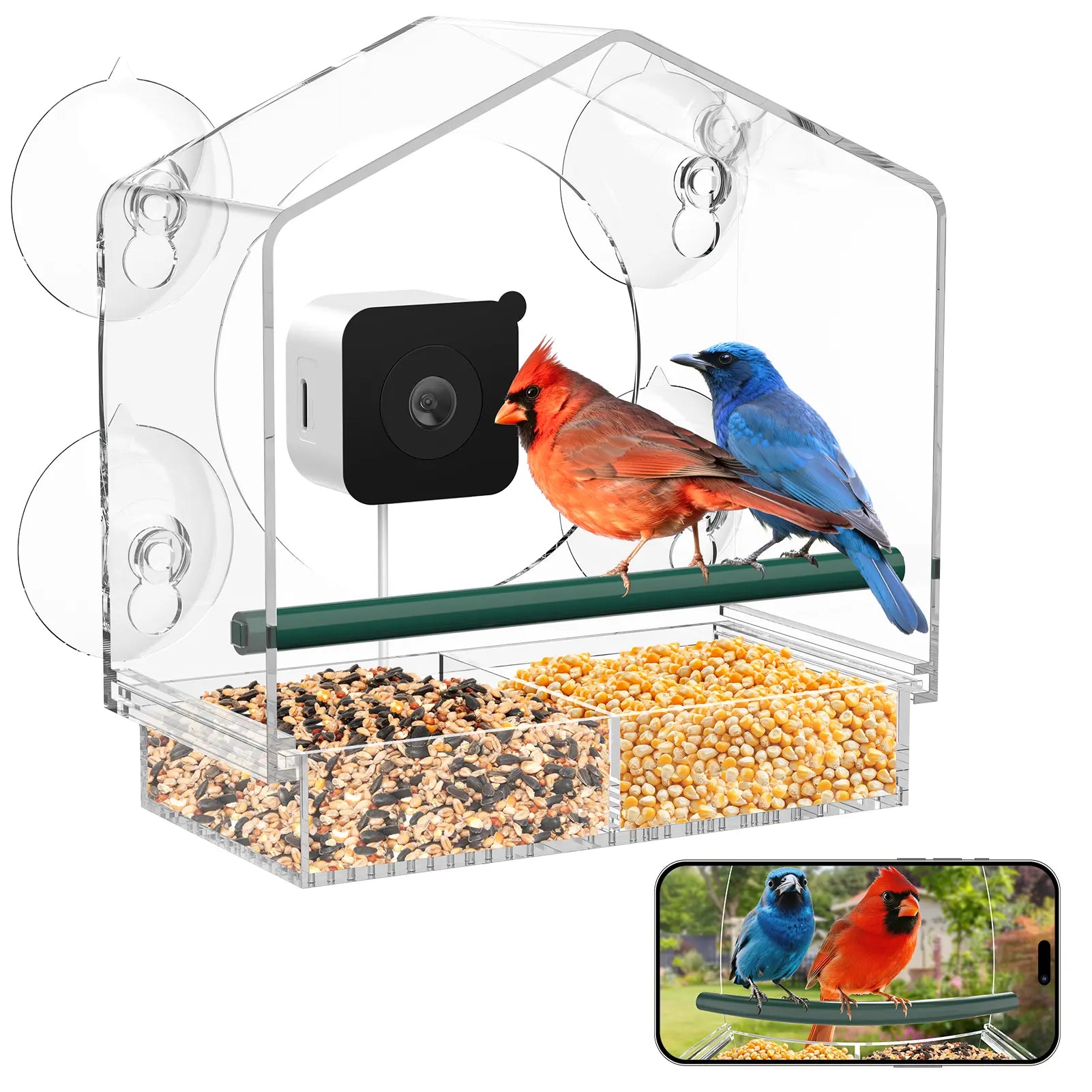 svanur window feeder with camera_1