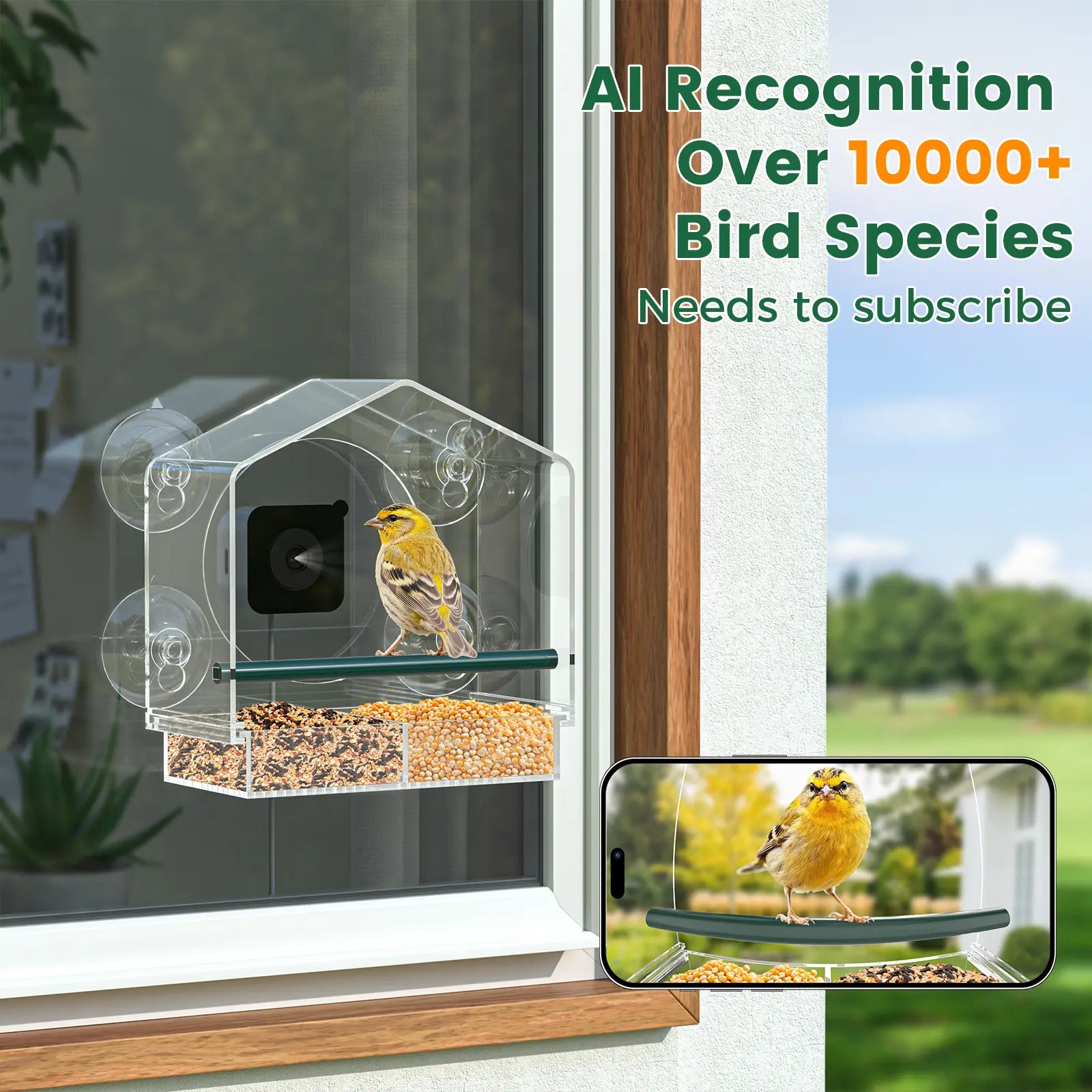 svanur window feeder with camera_2
