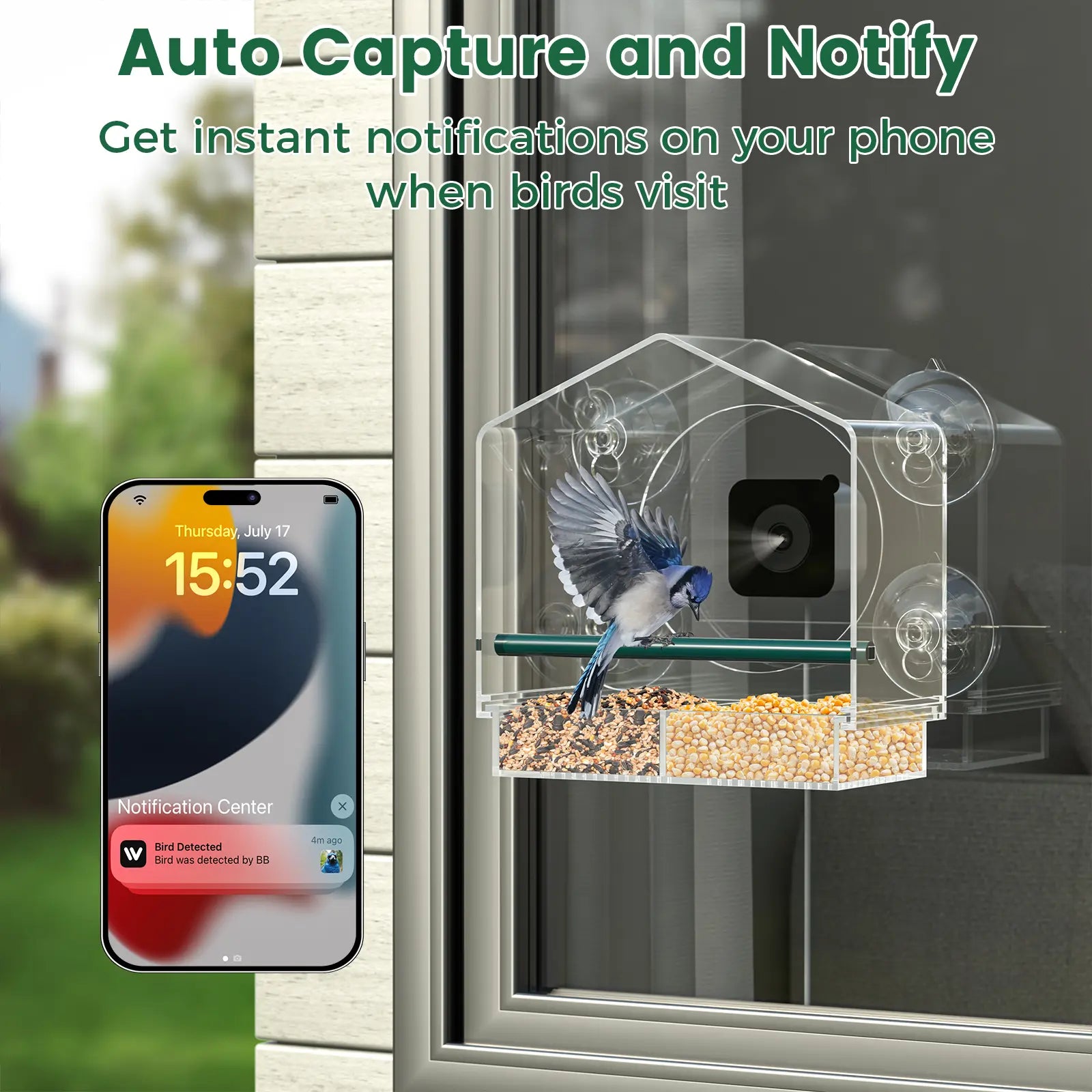 svanur window feeder with camera_3