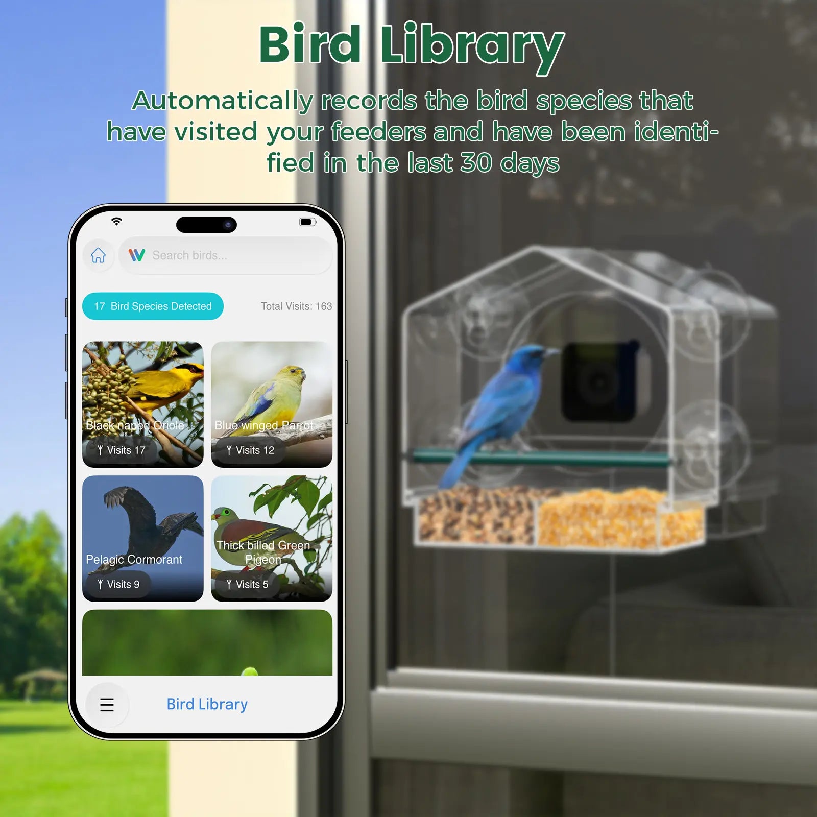 svanur window feeder with camera_4