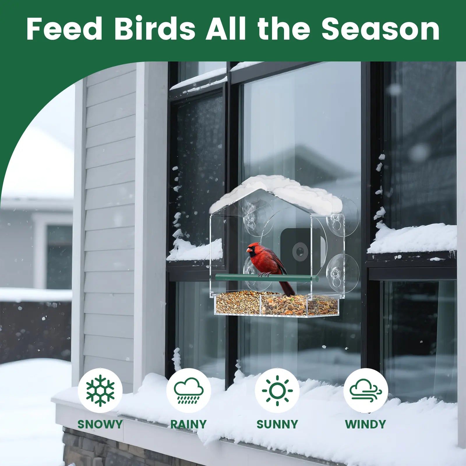 svanur window feeder with camera_7